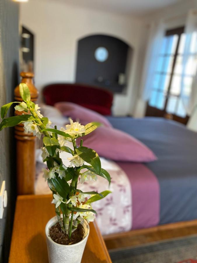 Domaine De La Provencale Bed and Breakfast Saint-Didier-de-la-Tour Buitenkant foto